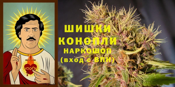 шишки Заволжск