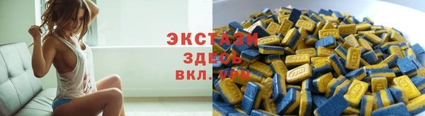 индика Заволжье