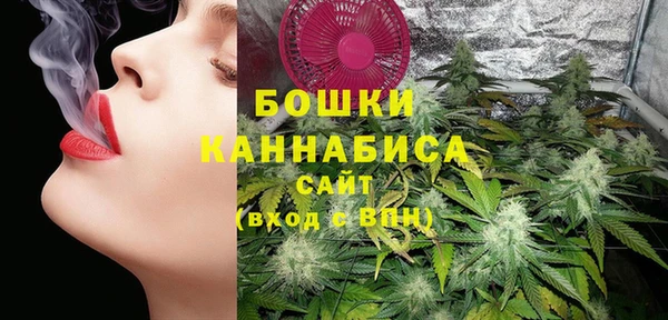 PSILOCYBIN Зерноград