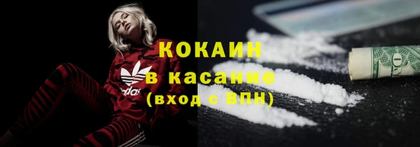 PSILOCYBIN Зерноград
