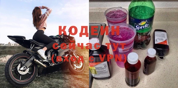 индика Заволжье