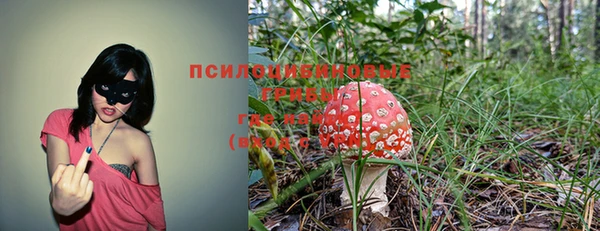 шишки Заволжск