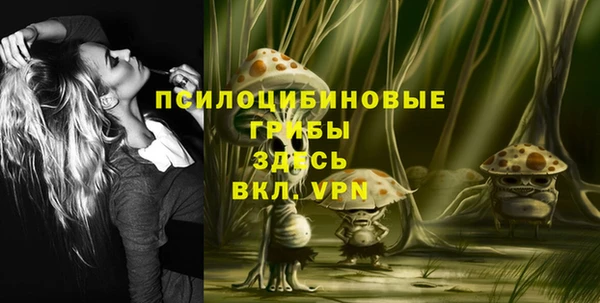 PSILOCYBIN Зерноград