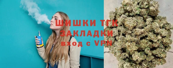 индика Заволжье