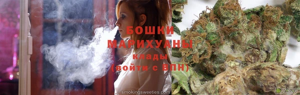 шишки Заволжск