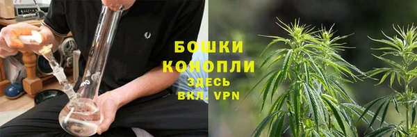 индика Заволжье