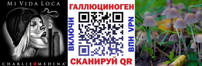 Псилоцибиновые грибы Psilocybe  Малоархангельск 